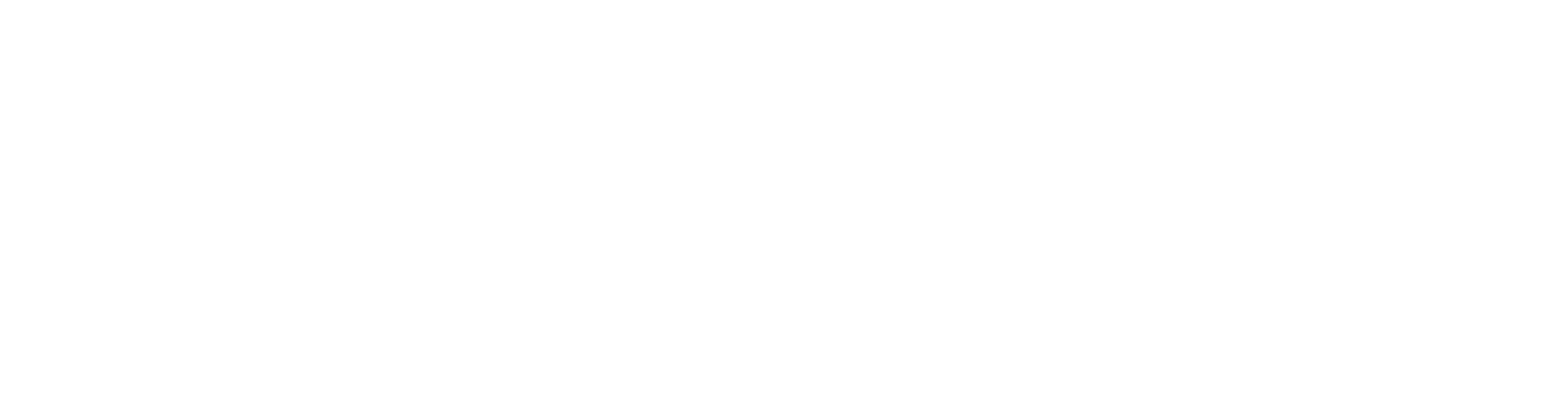 ES_Financiado_por_la_Unión_Europea_RGB_WHITE_Outline